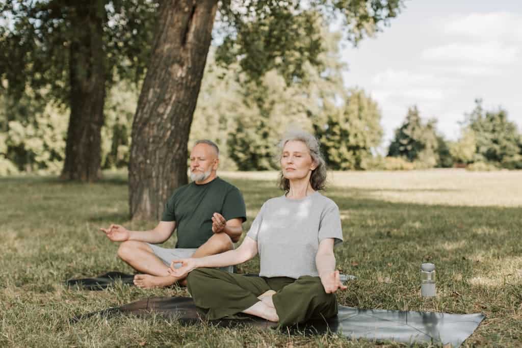 An Elderly Couple Meditating in the Park doing Yoga