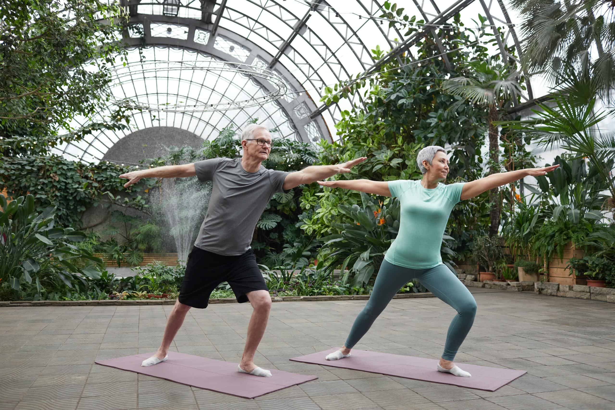 exercises for seniors